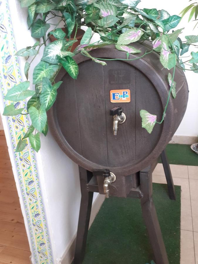 B&B Mistral Di Lizzio Salvatore Giarre Dış mekan fotoğraf